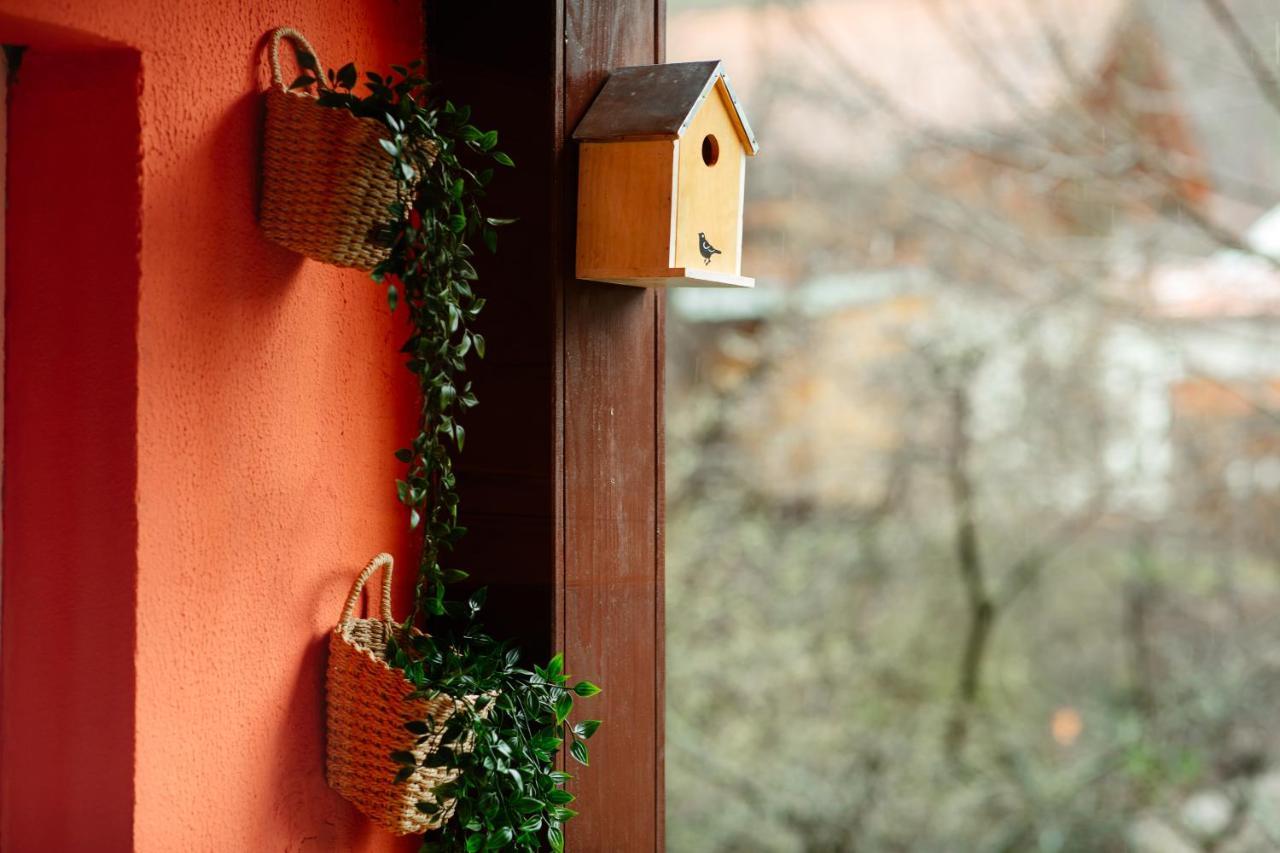 Home & Garden With Stunning View Синая Экстерьер фото
